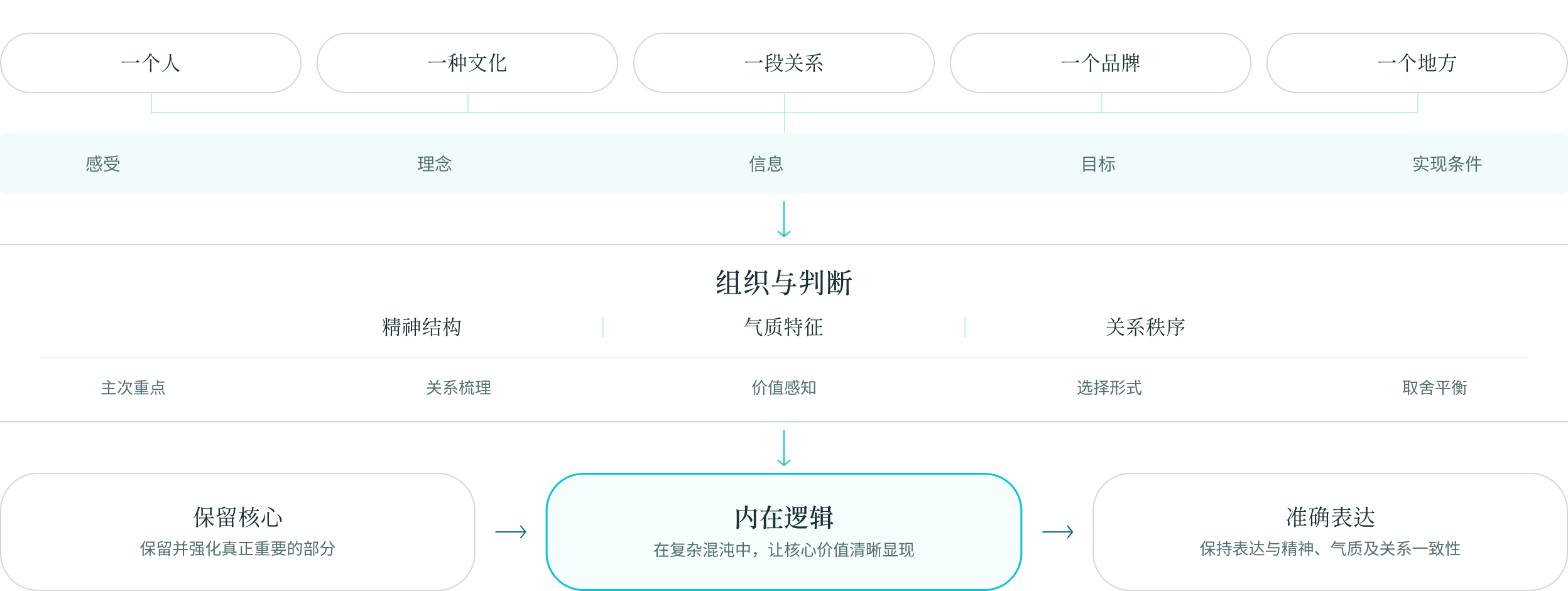 从丰富输入到内在逻辑