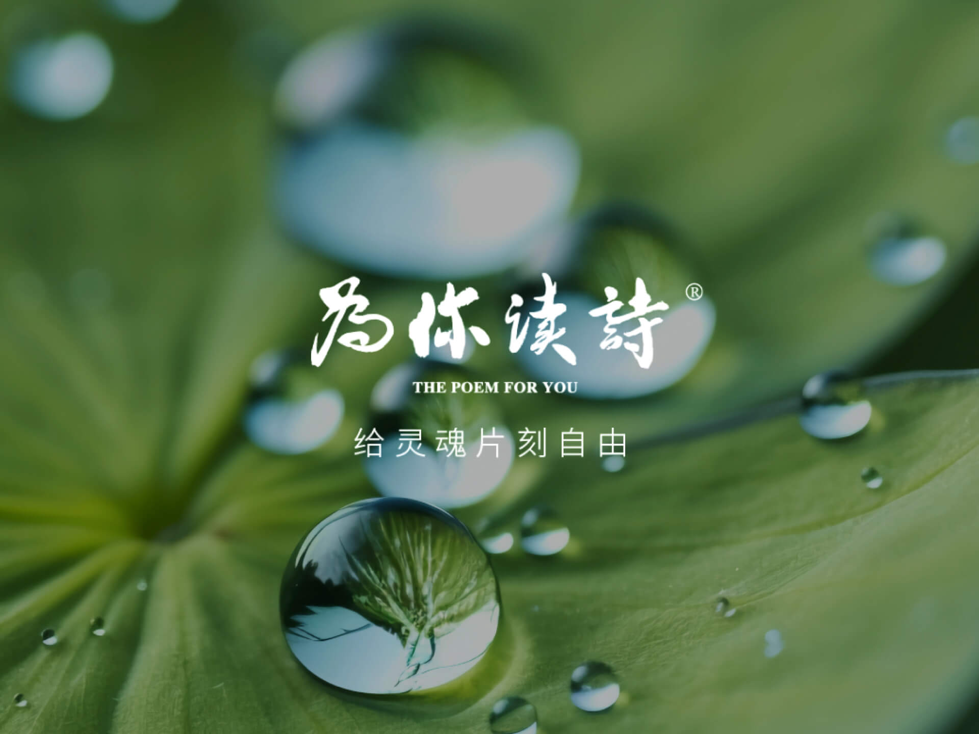 为你读诗·人文俱乐部：诗意地栖息